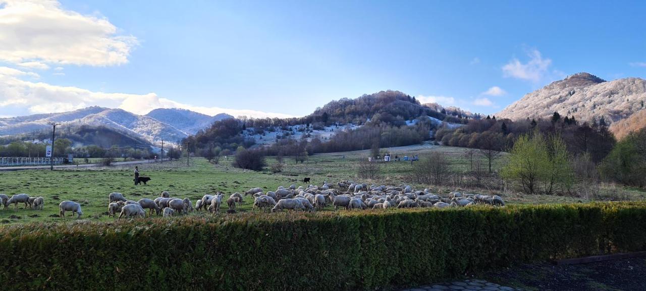 Poiana Rasnoavei Otel Rîşnov Dış mekan fotoğraf